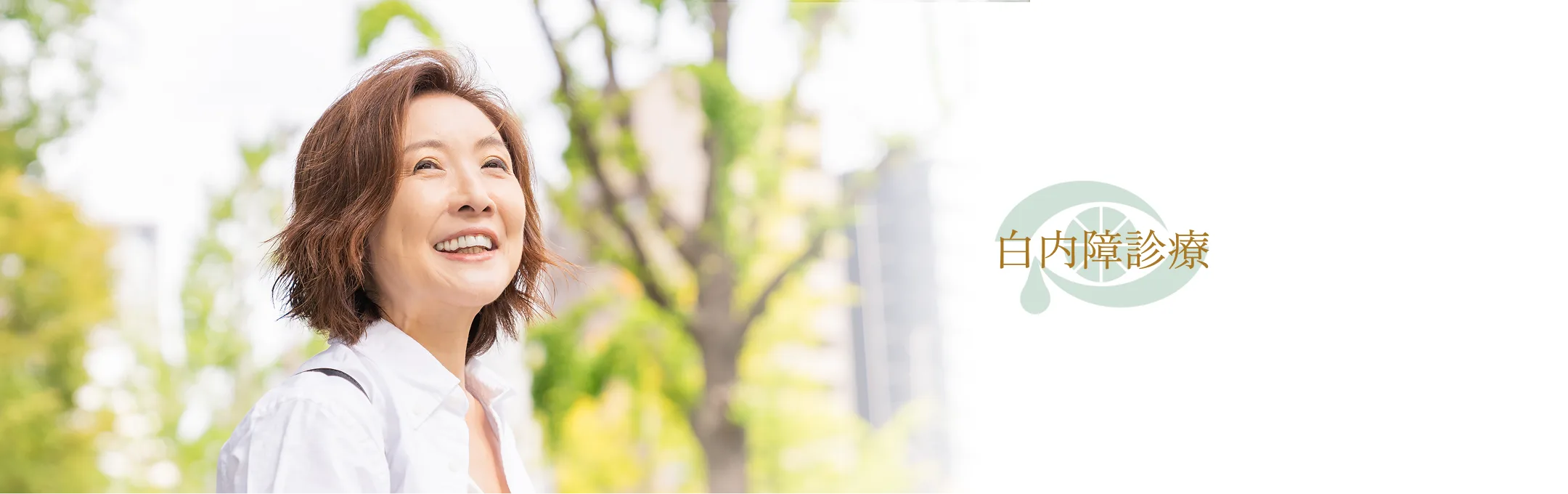 白内障診療