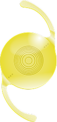Vivinex Gemetric