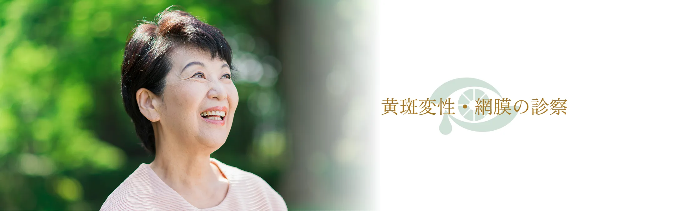 黄斑変性・網膜の診察